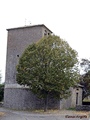 Iglesia de San Martín