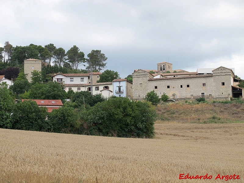 Palacio de Olza