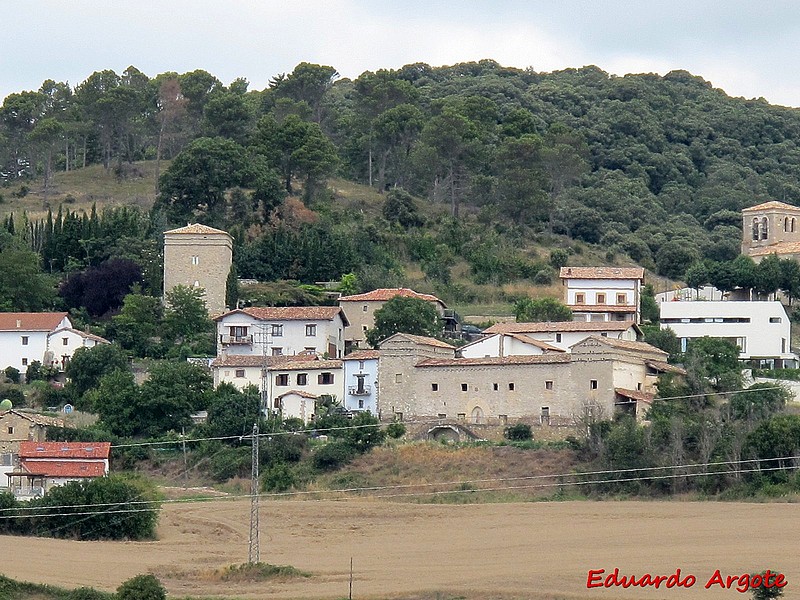 Palacio de Olza