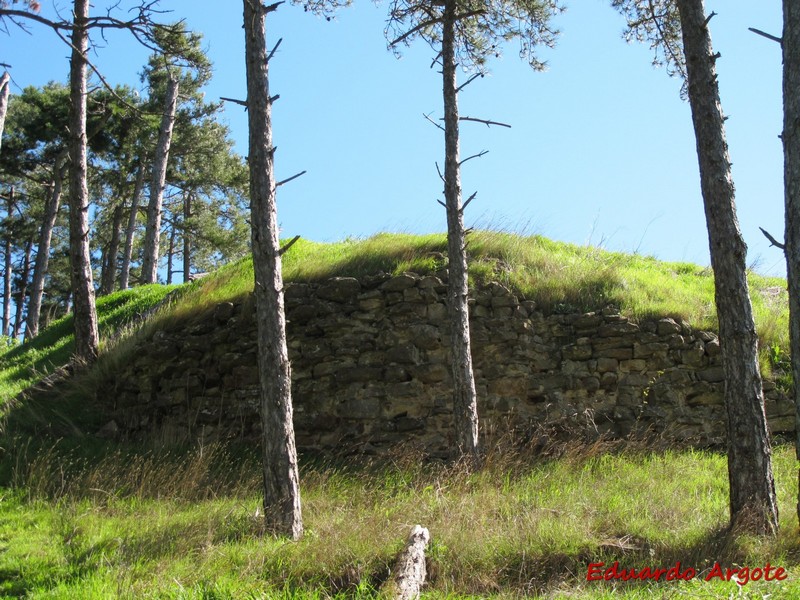 Castillo de Monreal