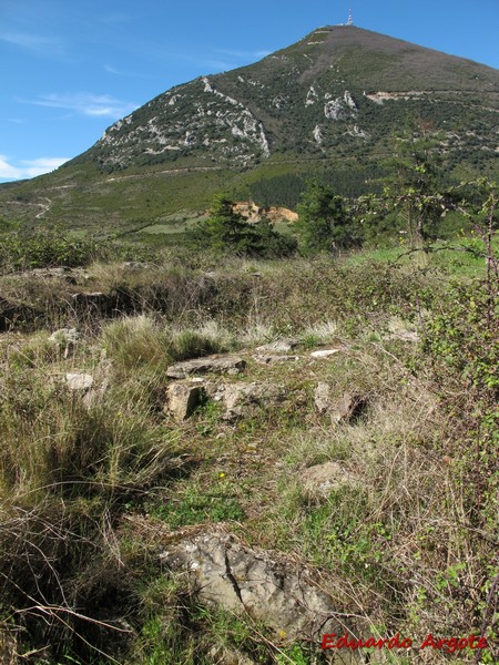 Castillo de Monreal