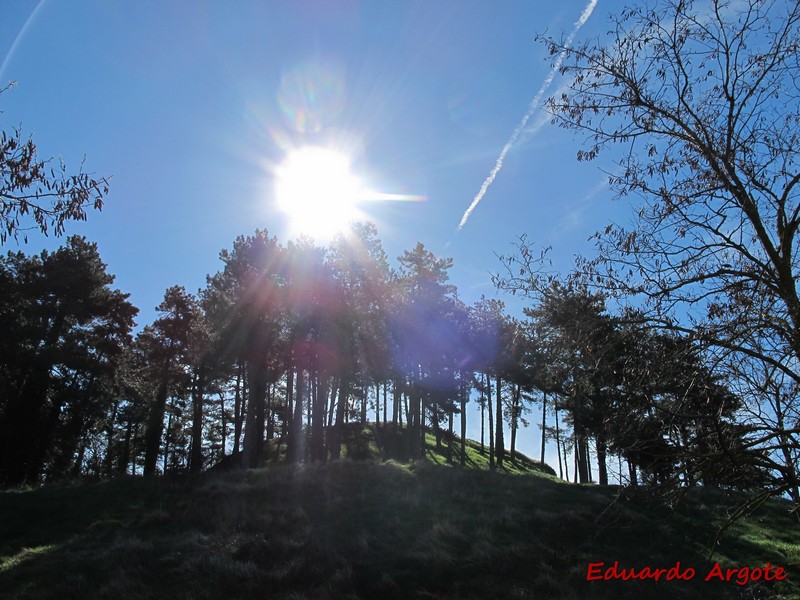 Castillo de Monreal