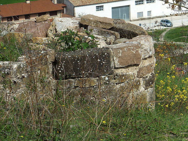 Castillo de Monreal