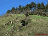 Castillo de Monreal