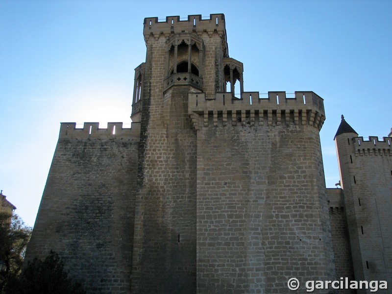 Castillo palacio de Olite