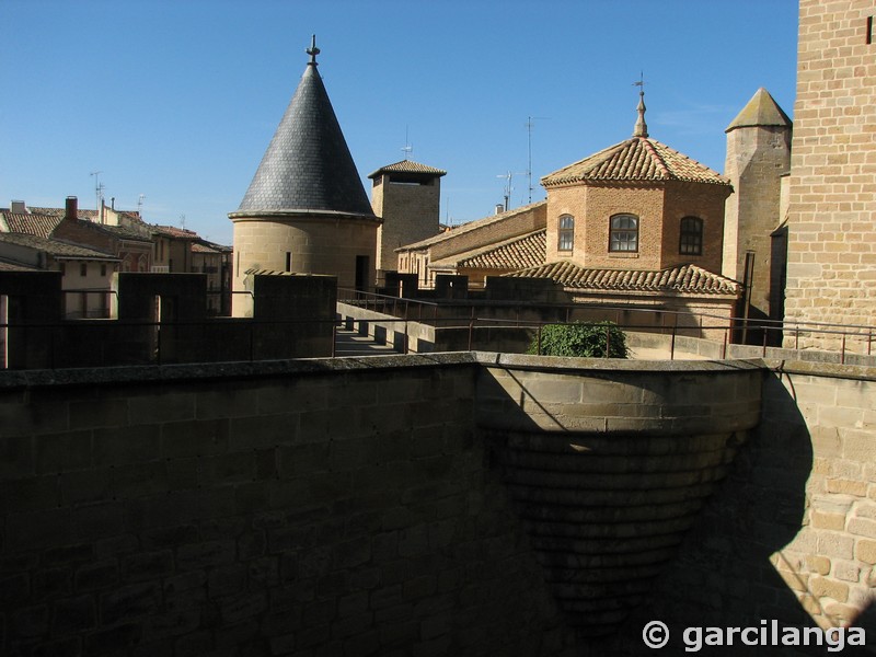 Castillo palacio de Olite