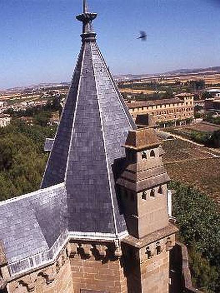 Castillo palacio de Olite