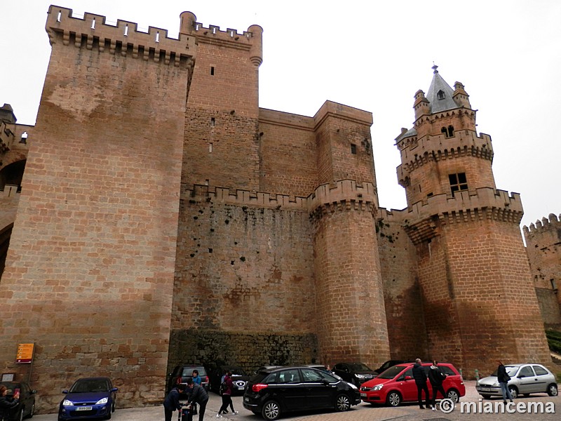 Castillo palacio de Olite