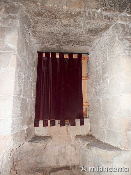 Castillo palacio de Olite