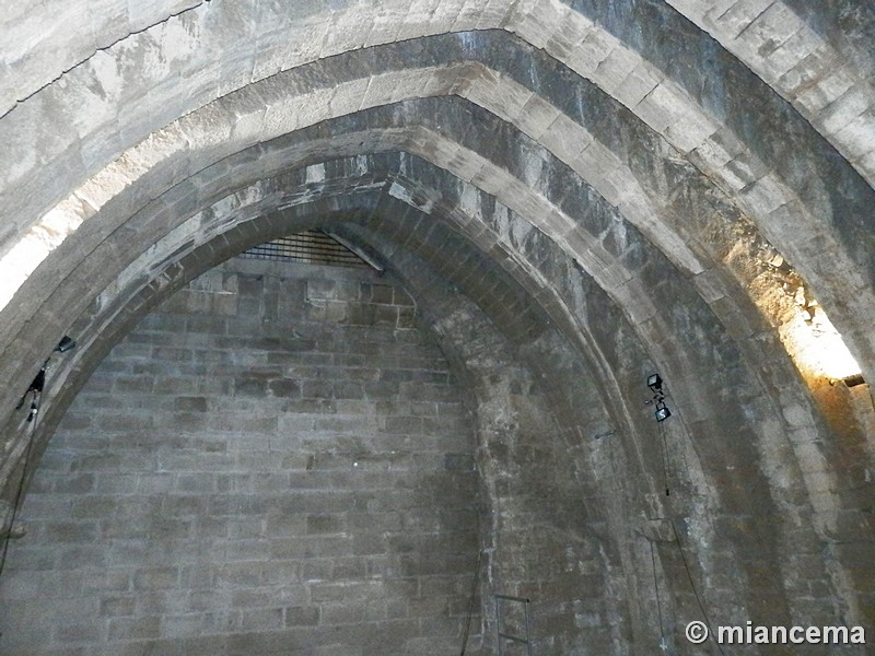 Castillo palacio de Olite