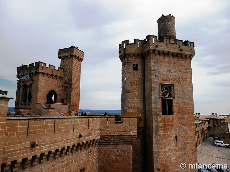 Castillo palacio de Olite