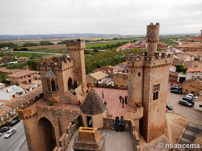 Castillo palacio de Olite