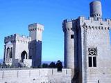 Castillo palacio de Olite