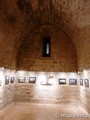 Castillo palacio de Olite