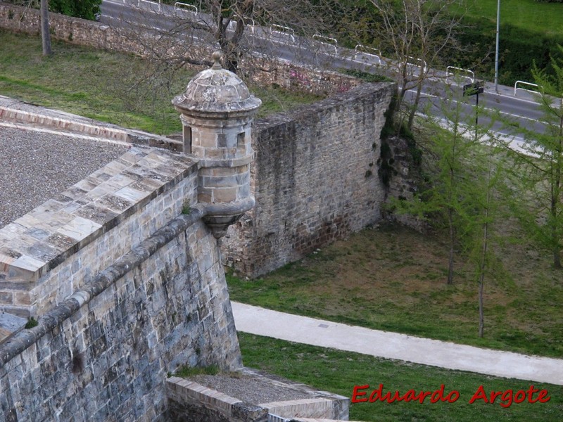 Muralla abaluartada de Pamplona