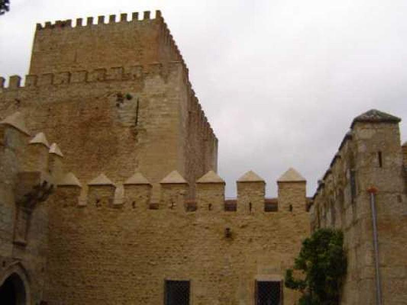 Castillo de Enrique II de Trastámara