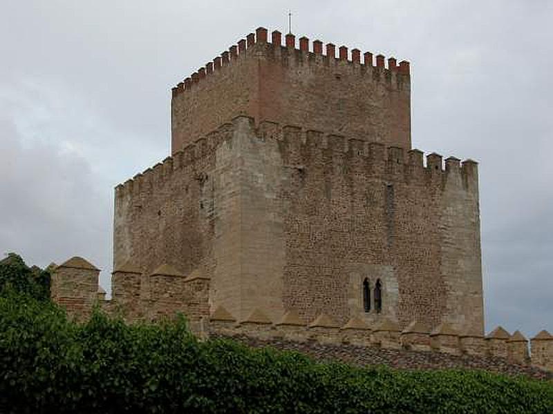 Castillo de Enrique II de Trastámara