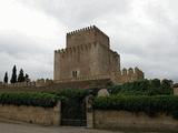 Castillo de Enrique II de Trastámara