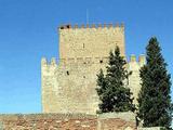 Castillo de Enrique II de Trastámara