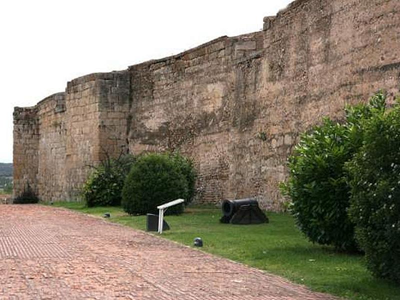 Muralla urbana de Ciudad Rodrigo