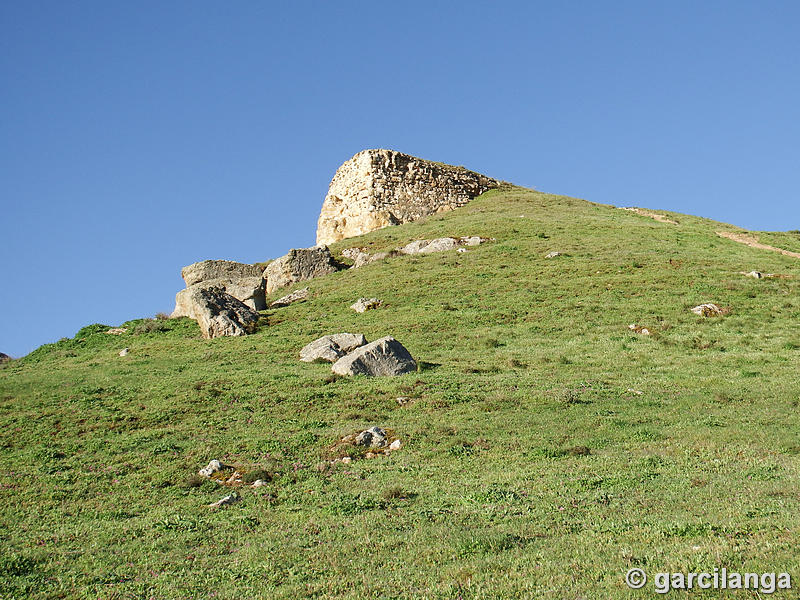 Castillo de El Carpio