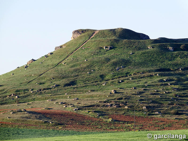 Castillo de El Carpio