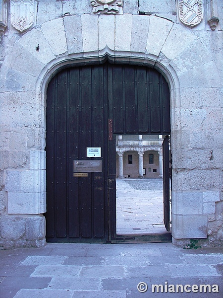 Castillo de los Duques de Alburquerque