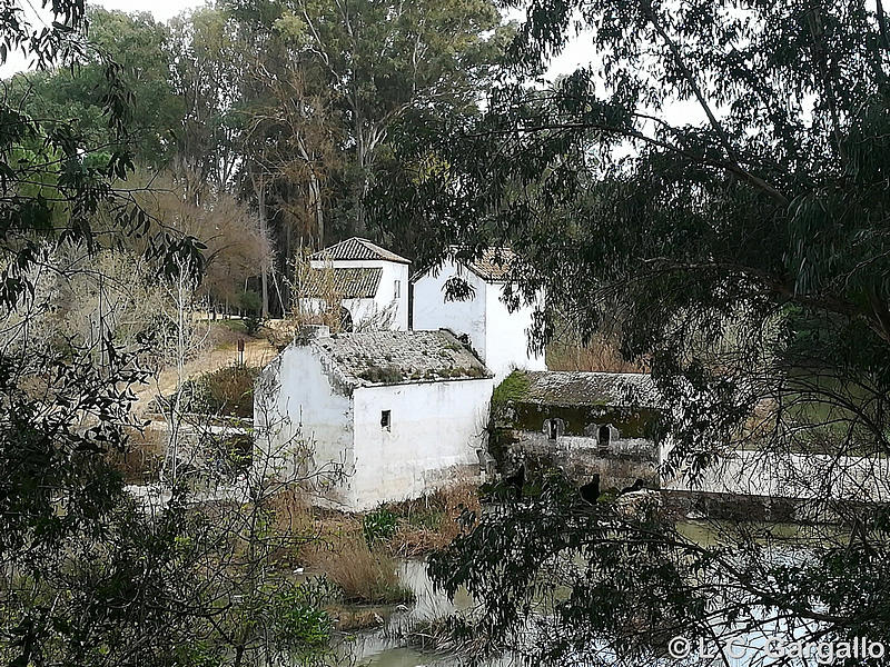 Molino de Benarosa