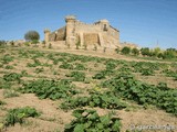 Castillo de Marchenilla