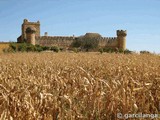 Castillo de Marchenilla