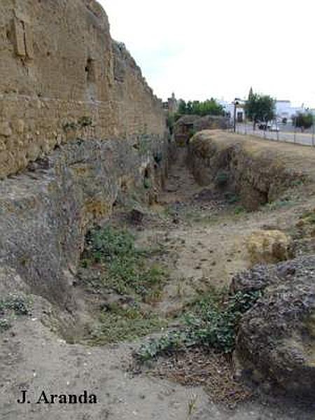 Alcázar del Rey don Pedro