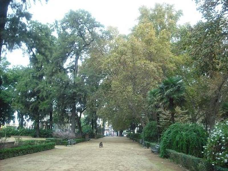Foto principal