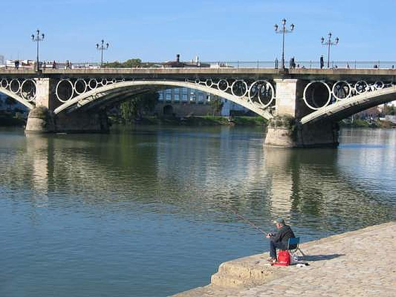 Imagen de Puente de Triana