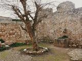 Real Monasterio de Santes Creus