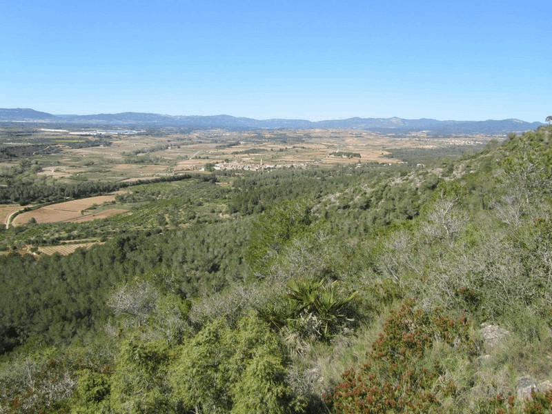 Torre de Montferri