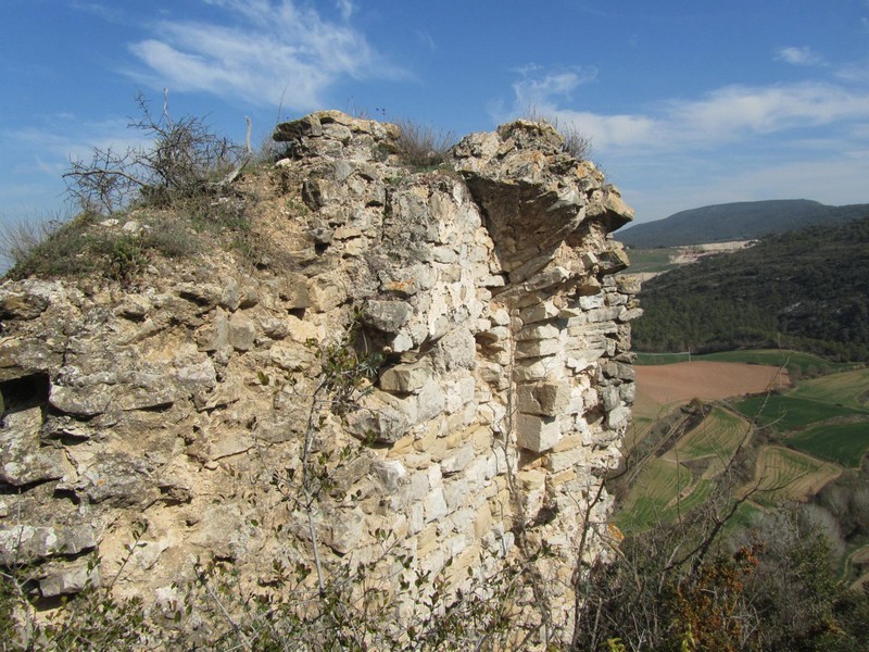 Castillo de Pontils