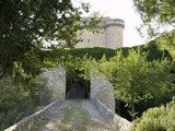 Castillo de Puñoenrostro