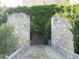 Castillo de Puñoenrostro