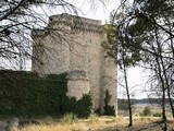 Castillo de Puñoenrostro