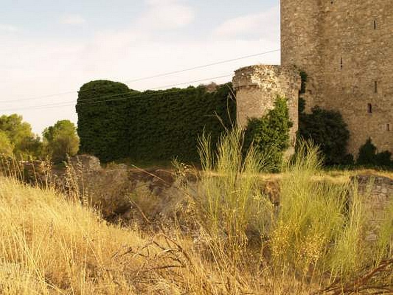 Castillo de Puñoenrostro