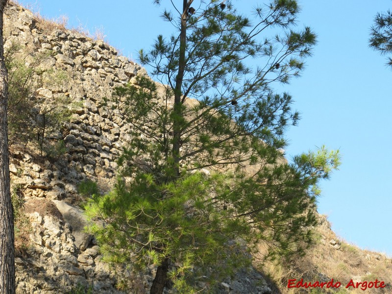 Castillo de Chiva