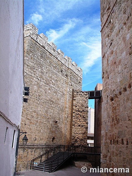 Alcazaba de Requena