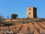 Torre óptica de San Juan