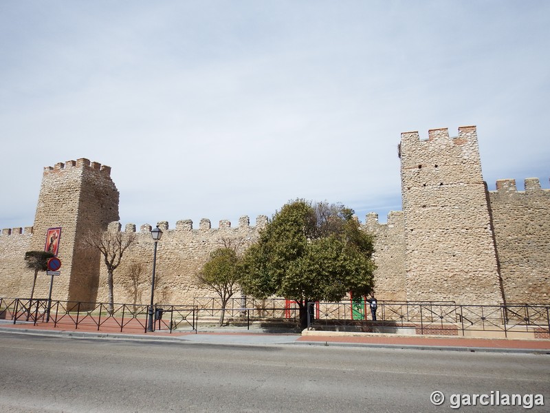 Muralla urbana de Olmedo