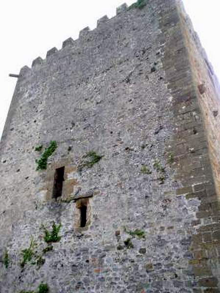 Castillo de Muñatones