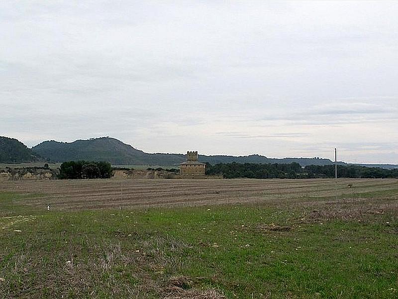 Castillo palacio de La Ballesta