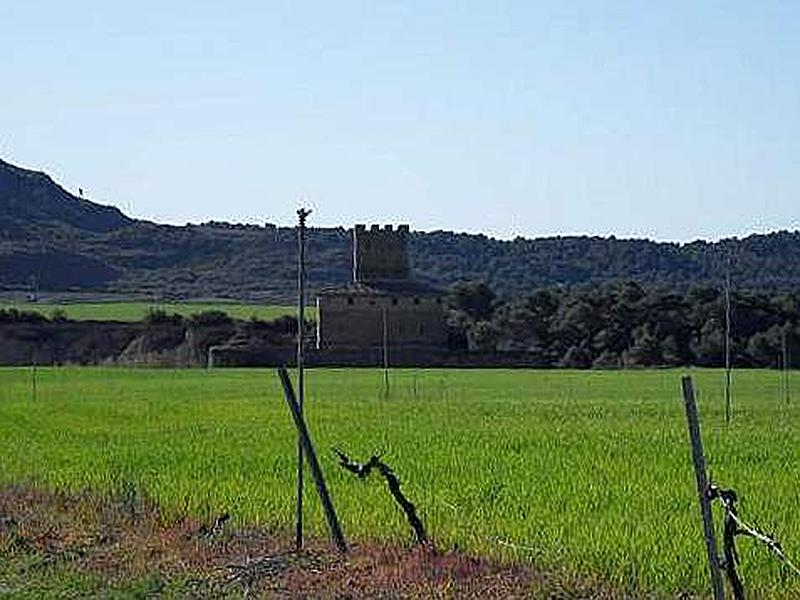 Castillo palacio de La Ballesta