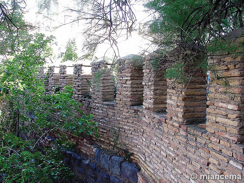 Castillo palacio de Calatorao