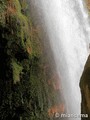 Monasterio de Piedra