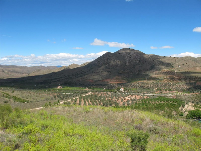 Torre de las Encantadas